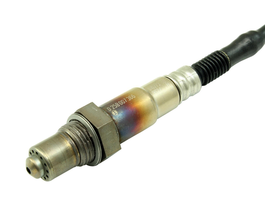 AEM Electronics AEM Electronics Wideband UEGO Sensors 30-2001 Autofit