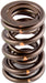 AFR Valve Spring 1.550" Valve Spring 1.550" Autofit
