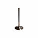 Airflow Research (AFR) AFR Replacement Stainless Steel Valves 7201 Autofit
