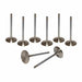 Airflow Research (AFR) AFR Replacement Stainless Steel Valves 7214-8 Autofit