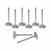 Airflow Research (AFR) AFR Replacement Stainless Steel Valves 7251-8 Autofit