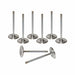 Airflow Research (AFR) AFR Replacement Stainless Steel Valves 7255-8 Autofit