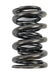 Airflow Research (AFR) AFR Replacement Valve Springs 8001-1 Autofit