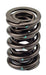 Airflow Research (AFR) AFR Replacement Valve Springs 8002-1 Autofit