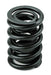 Airflow Research (AFR) AFR Replacement Valve Springs 8016-1 Autofit
