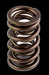 Airflow Research (AFR) AFR Replacement Valve Springs 8017-16 Autofit