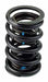 Airflow Research (AFR) AFR Replacement Valve Springs 8020-16 Autofit