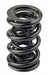 Airflow Research (AFR) AFR Replacement Valve Springs 8022-16 Autofit