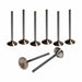Airflow Research (AFR) Airflow Research (AFR) Valves 7212-8 Autofit