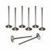 Airflow Research (AFR) Airflow Research (AFR) Valves 7247-8 Autofit