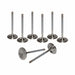 Airflow Research (AFR) Airflow Research (AFR) Valves 7257-8 Autofit