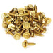 Allstar Performance Allstar Performance Body Bolts ALL16554-50 Autofit