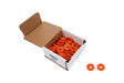 Allstar Performance Allstar Performance Countersunk Washers ALL18849-50 Autofit
