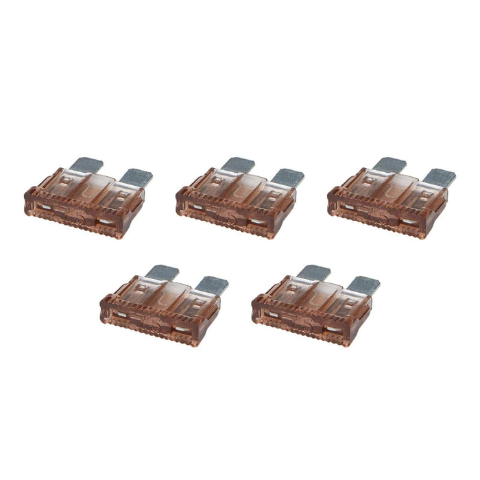 Allstar Performance Allstar Performance Electrical Fuses ALL76364 Autofit