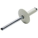 Allstar Performance Allstar Performance Large Head Rivets ALL18011 Autofit