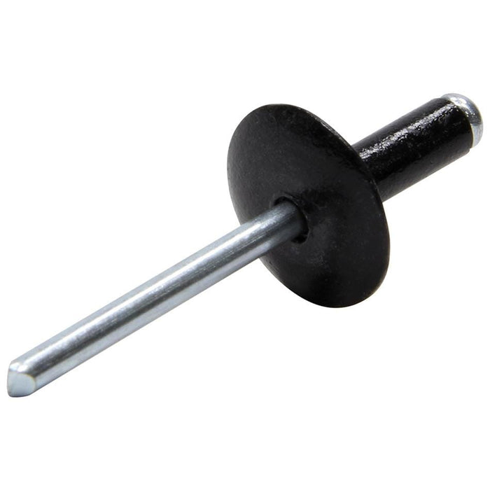 Allstar Performance Allstar Performance Large Head Rivets ALL18013 Autofit