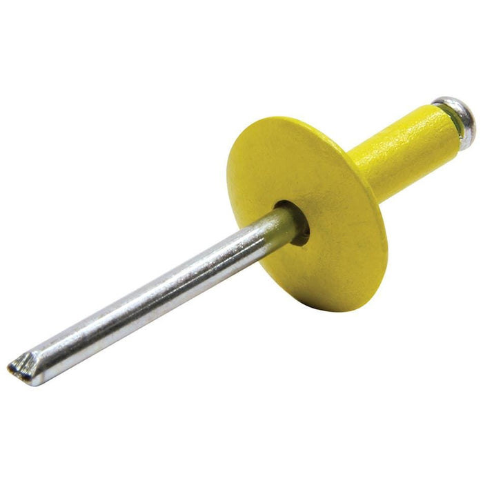 Allstar Performance Allstar Performance Large Head Rivets ALL18016 Autofit