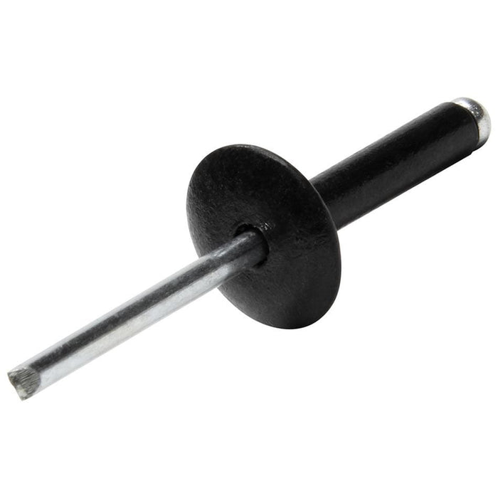 Allstar Performance Allstar Performance Large Head Rivets ALL18033 Autofit
