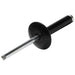 Allstar Performance Allstar Performance Large Head Rivets ALL18033 Autofit