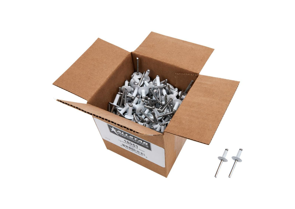 Allstar Performance Allstar Performance Large Head Rivets ALL18051 Autofit