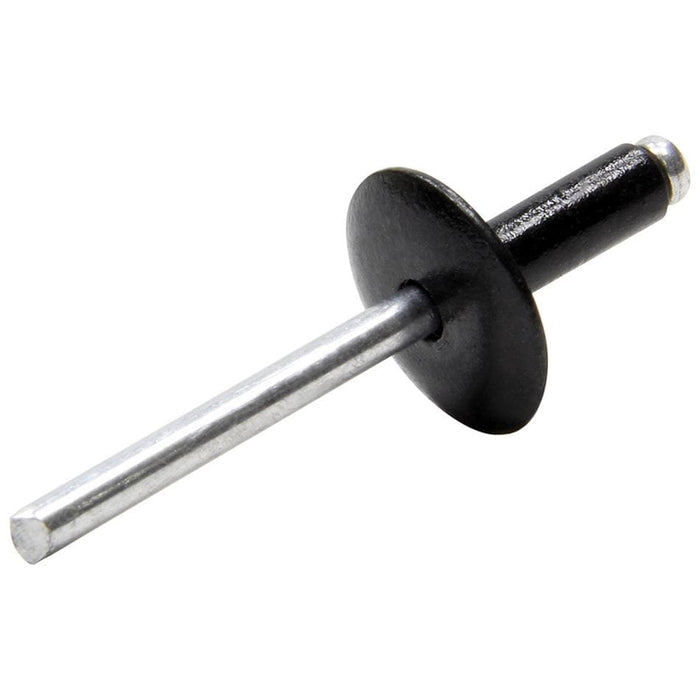 Allstar Performance Allstar Performance Large Head Rivets ALL18053 Autofit