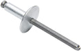 Allstar Performance Allstar Performance Large Head Rivets ALL18143 Autofit
