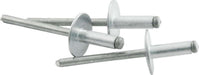 Allstar Performance Allstar Performance Large Head Rivets ALL18151 Autofit