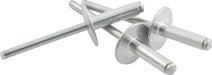 Allstar Performance Allstar Performance Large Head Rivets ALL18153 Autofit