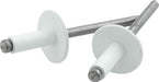 Allstar Performance Allstar Performance Large Head Rivets ALL18156 Autofit