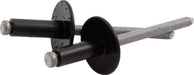 Allstar Performance Allstar Performance Large Head Rivets ALL18168 Autofit
