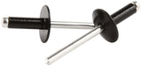 Allstar Performance Allstar Performance Large Head Rivets ALL18170 Autofit