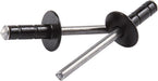 Allstar Performance Allstar Performance Multi-Grip Rivets ALL18071 Autofit