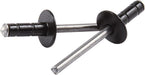 Allstar Performance Allstar Performance Multi-Grip Rivets ALL18075 Autofit