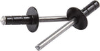 Allstar Performance Allstar Performance Multi-Grip Rivets ALL18087 Autofit