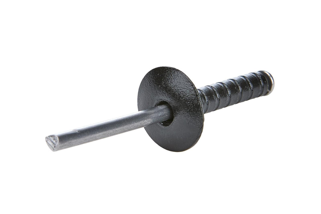 Allstar Performance Allstar Performance Multi-Grip Rivets ALL18095 Autofit