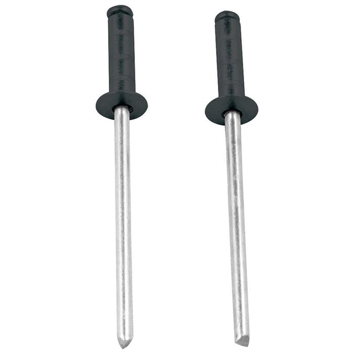 Allstar Performance Allstar Performance Multi-Grip Rivets ALL18098 Autofit