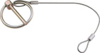 Allstar Performance Allstar Performance Replacement Hood Pin Clips ALL18462 Autofit
