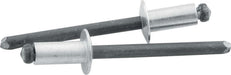 Allstar Performance Allstar Performance Small Head Rivets ALL18101 Autofit