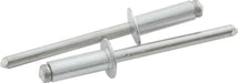 Allstar Performance Allstar Performance Small Head Rivets ALL18109 Autofit