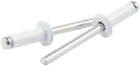 Allstar Performance Allstar Performance Small Head Rivets ALL18116 Autofit