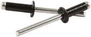 Allstar Performance Allstar Performance Small Head Rivets ALL18128 Autofit