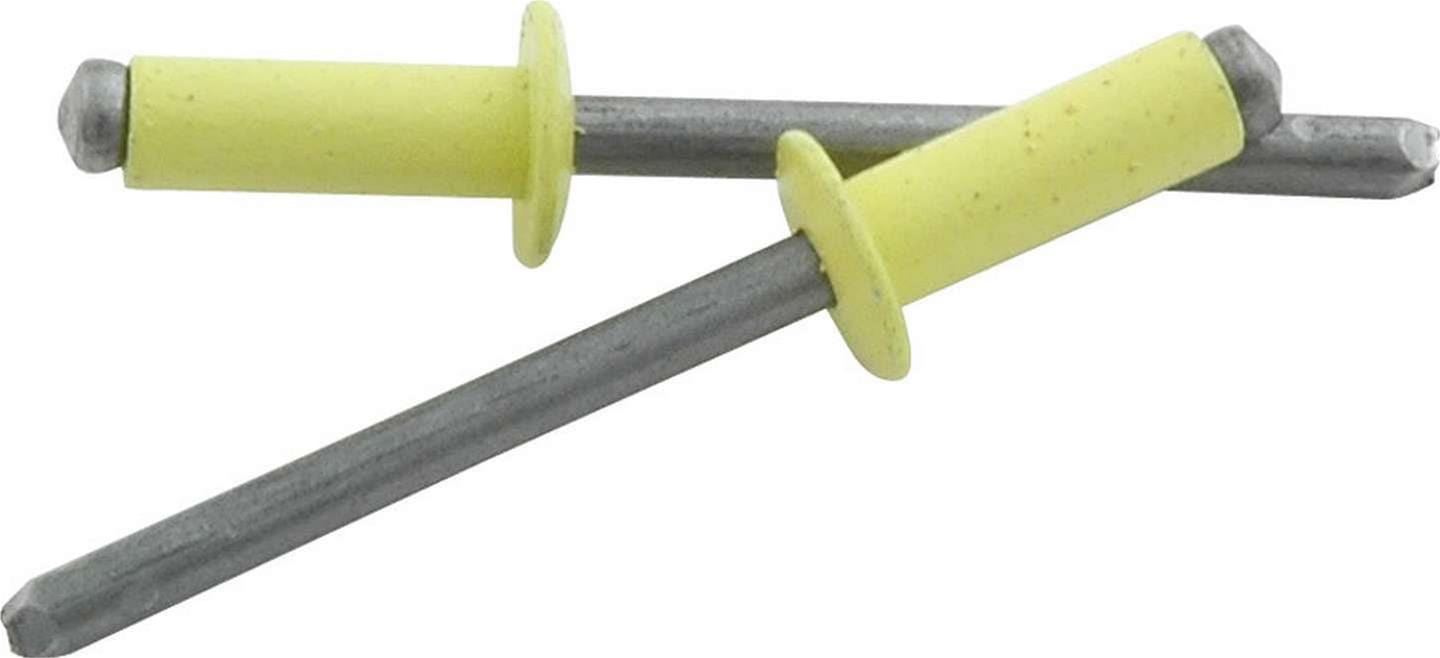 Allstar Performance Allstar Performance Small Head Rivets ALL18138 Autofit