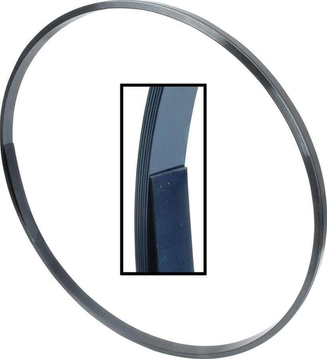 Allstar Performance Allstar Performance Spring Steel Body Straps ALL23110 Autofit
