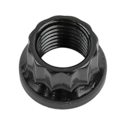 ARP ARP 12-Point Nuts 300-8303 Autofit