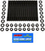ARP ARP Pro Series Cylinder Head Studs 202-4701 Autofit