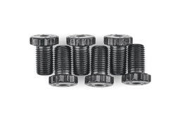 ARP ARP Pro Series Flexplate Bolt Kits 200-2906 Autofit
