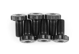 ARP ARP Pro Series Flexplate Bolt Kits 244-2901 Autofit