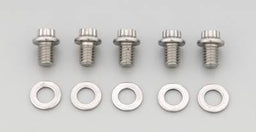 ARP ARP Stainless Steel Bolts 613-0500 Autofit