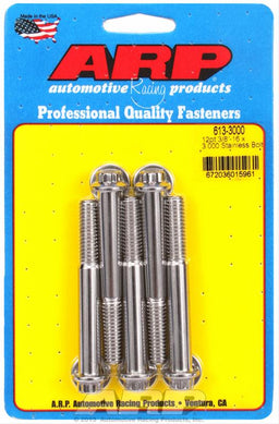 ARP ARP Stainless Steel Bolts 613-3000 Autofit