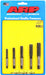 ARP ARP Thread Cleaning Chaser Sets 911-0006 Autofit